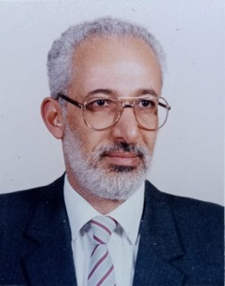 Mohamed Abdel Hamid Imam Amer